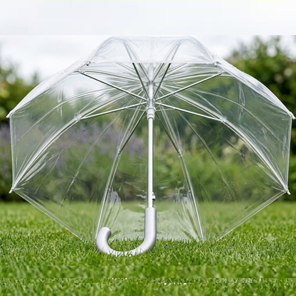 Clear Transparent Umbrella