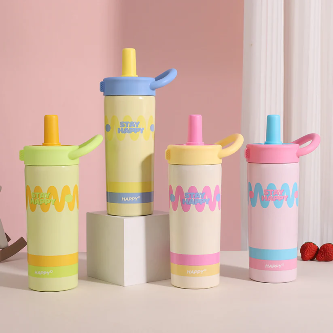 Portable Stainless Steel Thermo Flask (650ml)